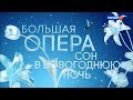 Большая опера – 2019. 6 сезон. Сон в Новогоднюю ночь