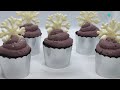 Chocolate Sugar Plum Cupcakes