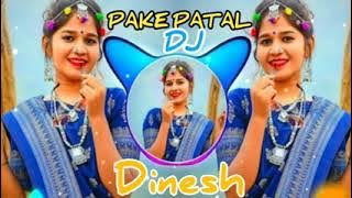 PAKE PATAL DIKHE LALA LA_ Fully Dance MiX _ DJ DINESH _