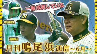 【月刊鳴尾浜通信6月】#和田豊 監督に直撃！ファーム注目選手は！？#井坪陽生 選手『どんな成長を見せてくれるか楽しみ！』#遠藤成 選手「今年一番成長している選手！」ファームの選手にもご注目ください！