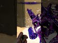 Warden .308 Got No Chill 😭 One Tap Madness