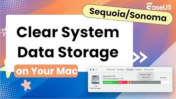 How to Clear System Data Storage on macOS Sequoia/Sonoma