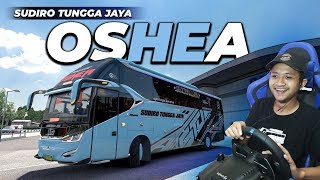 TES Bus Terbaru Sudiro Tungga Jaya 