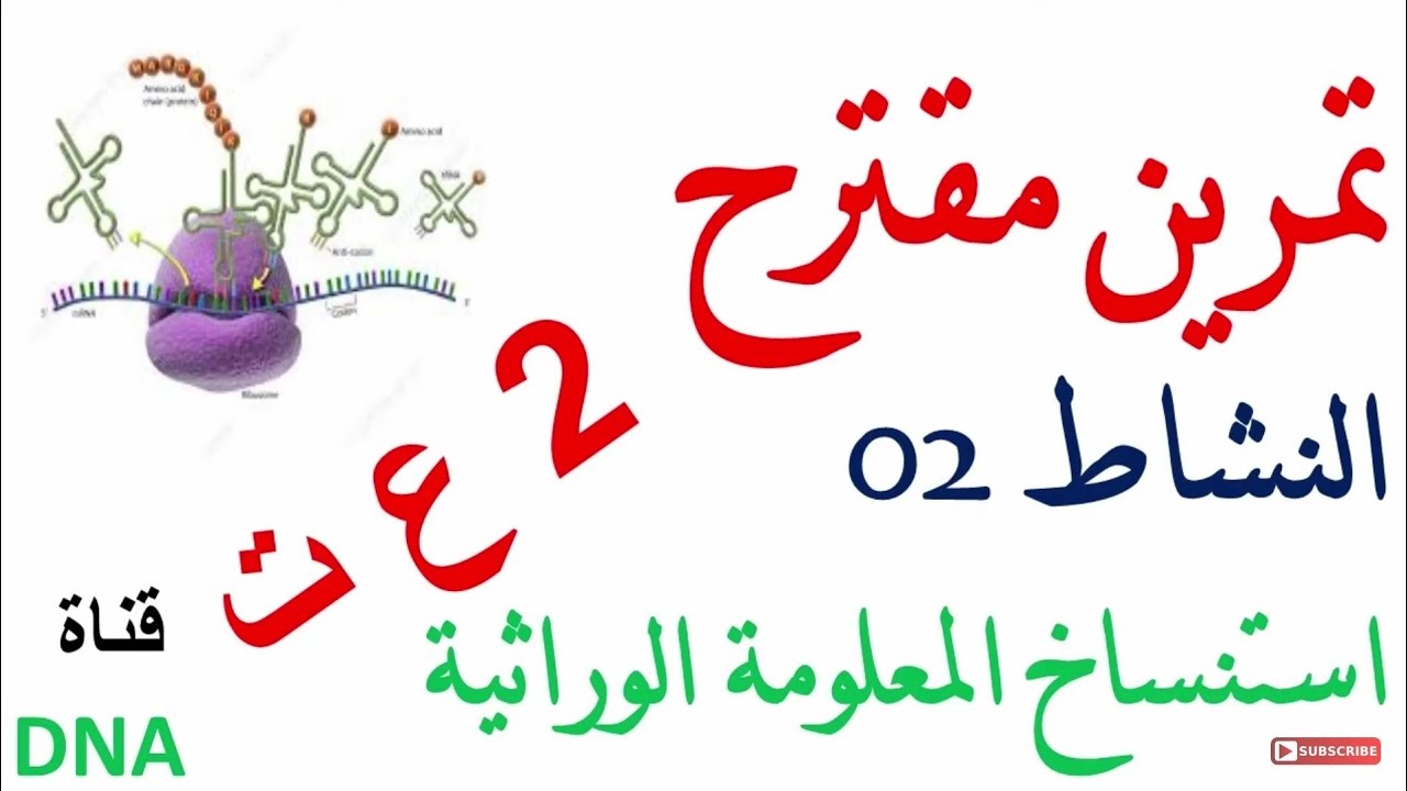 تمرين مقترح حول النشاط 02 استنساخ المعلومة الوراثية