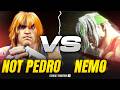 SF6 ▰ NotPedro (KEN) Vs Nemo (ALEX) ▰ STREET FIGHTER 6 High Level  Gameplay