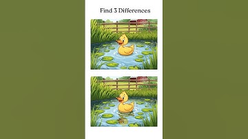 Can You Spot 3 Differences in 10 Seconds? 🔍 | Fun Challenge #spotthedifference #findthedifference