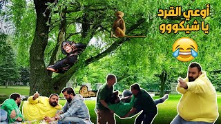مسخرة ضحك بس😂😂 شيكو و هشام و فهمي راحوا جنينة الحيوانات 🦒🐯🦏 في هولندا وفاكرينها زي مصر