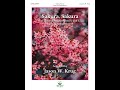 Sakura, Sakura piano accompaniment to 12 bell version