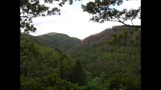 Bentley Copse Pt 1 - Original Music by RDEtherton