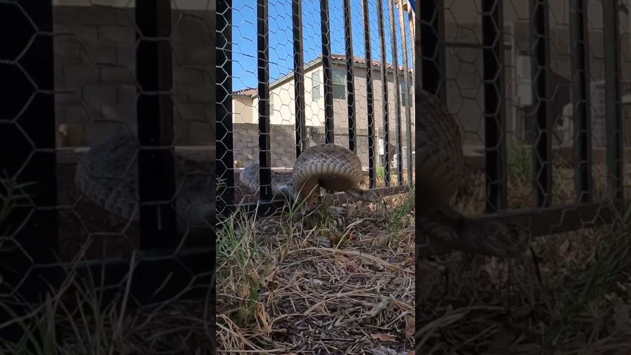 The Most Dangerous Task We Do