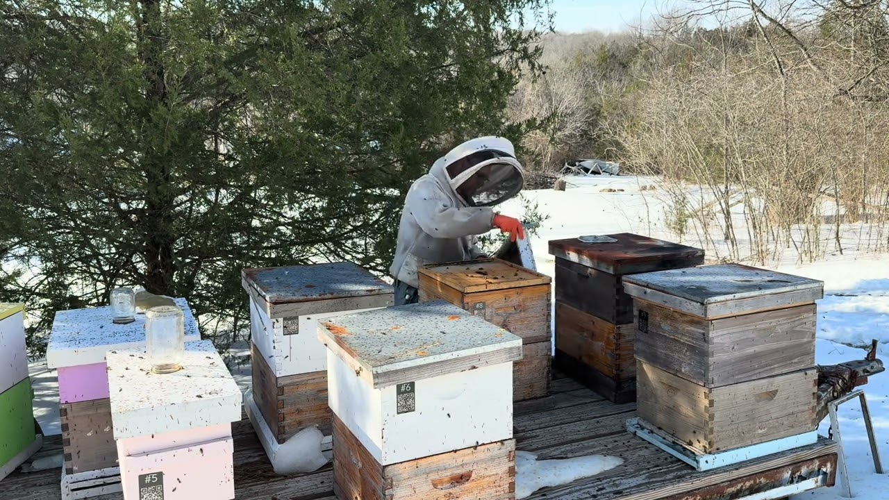 показатель выживаемости на приусадебном участке