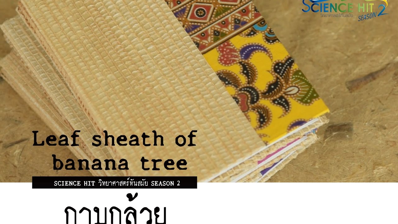 หมู่บ้านศิลปะประดิษฐ์จากกาบกล้วย รายการ Science Hit 