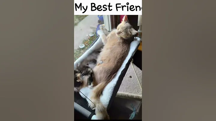 My Best Friend & Mom