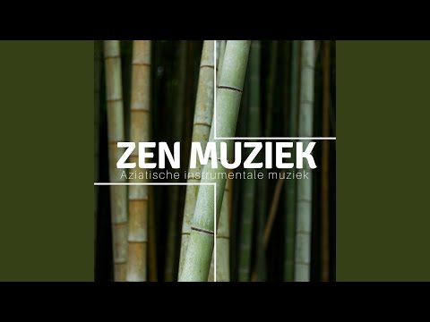 Video: Natuurlijke levensstijl