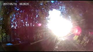 Enjoying Dawns Moments