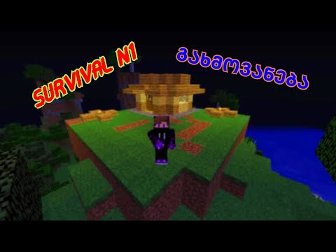 minecraft survival N1 (გახმოვანება)