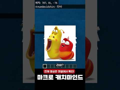 무엇인지 맞춰보자! 마크로 해보는 캐치마인드ㅋ