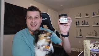 CBD DOG TREATS