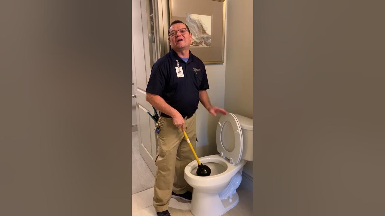 How to Unclog a Stopped Up Toilet YouTube