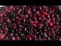 Christmas CRANBERRY SAUCE Homemade recipe | How to Make | Turkey
