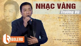 NHỚ VỀ MỘT MÙA XUÂN - NHẠC VÀNG TRƯỜNG VŨ HAY NHẤT MỌI THỜI ĐẠI GÂY NGHIỆN HÀNG TRIỆU NGƯỜI HÂM MỘ