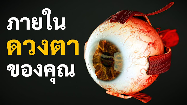 เกิดอะไรขึ้นบ้างในดวงตาของคุณ