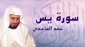 القرآن الكريم بصوت الشيخ سعد الغامدي لسورة يس