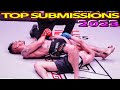 Top mma submissions 2023
