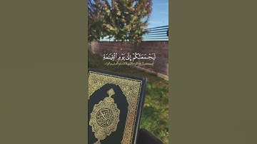 ( قل لمن ما في السموات والأرض قل لله ) |القارئ عمر بن ضياء الدين #القرآن_الكريم #قرآن #ستوريات #لايك