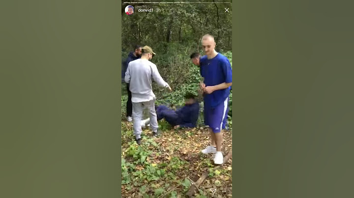 Noizy rrëzohet nga pema .