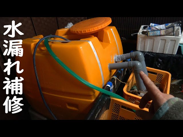 改造DIY】スーパーローリータンク濾過槽の水漏れは止まったのか