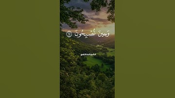 المنشاوي | فسبحان الله حين تمسون وحين تصبحون 🎧 تلاوة خاشعة