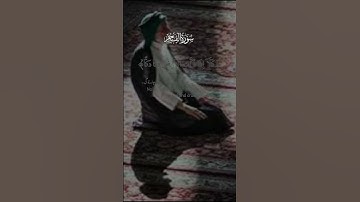 سورة الفجر #icandothisallday #اكسبلور #duet #العظماء #الظروف