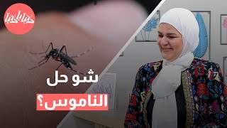 أفضل الطرق للتخلص من الحشرات المنزلية في فصل الربيع