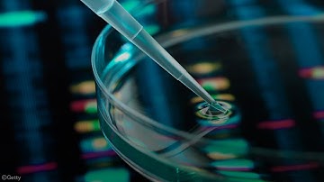 Neuropathy and Neuromuscular Gene Panel Update