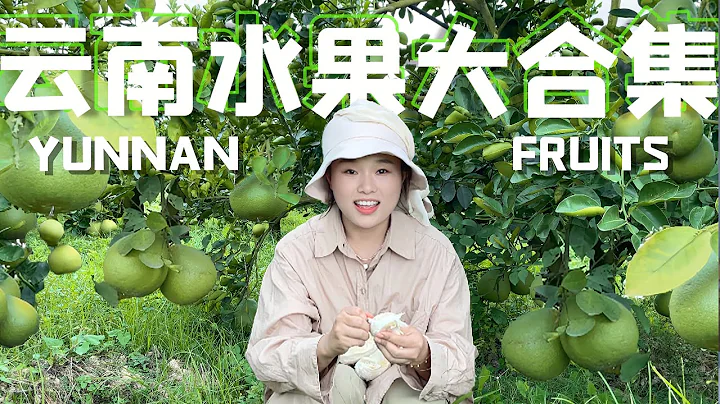 这些稀奇的云南水果你都知道吗？Rare Yunnan Fruits 【叫我阿霞 Channel】 - DayDayNews
