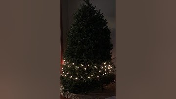 Testing Raspberry Pi Christmas Tree Lightshow