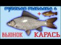 РР4 ВЬЮНОК КАРАСЬ И ВНЕЗАПНЫЙ ЛИНЬ / РУССКАЯ РЫБАЛКА 4 КАРАСЬ / RUSSIAN FISHING 4 CRUCIAN CARP