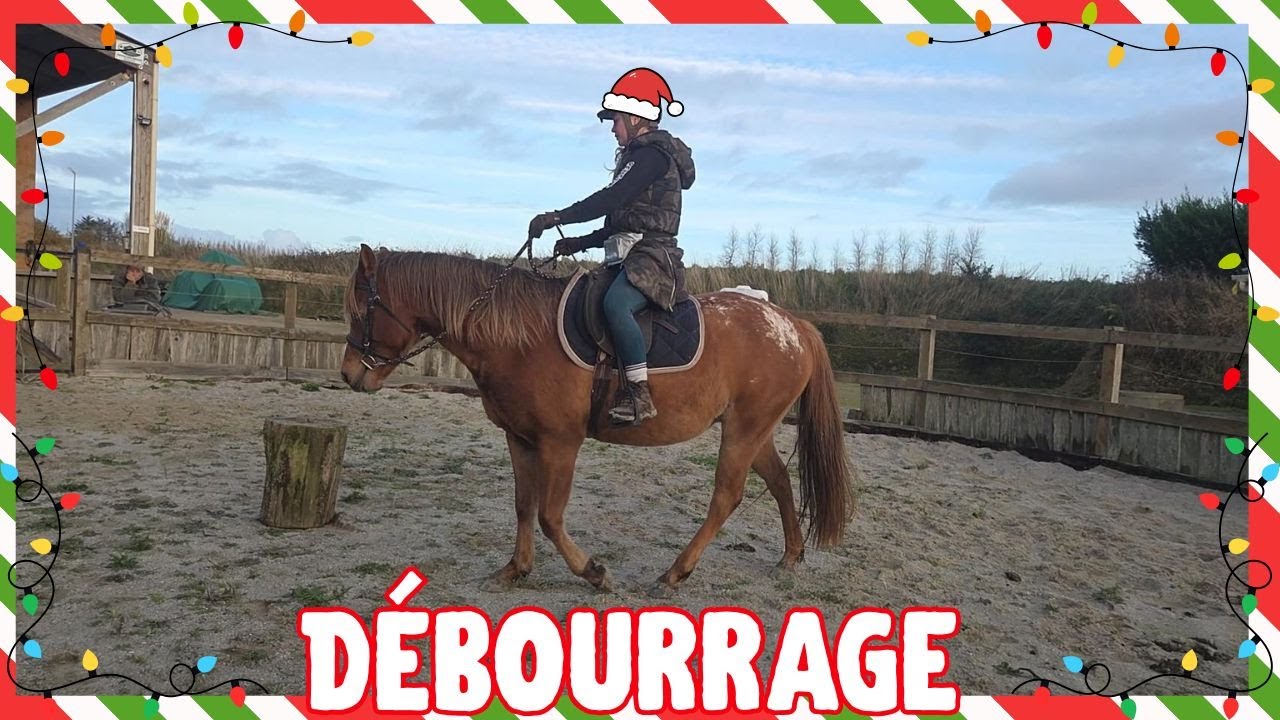 Équi'Mas 2025 - POURSUITE DU DÉBOURRAGE -18 décembre 2025