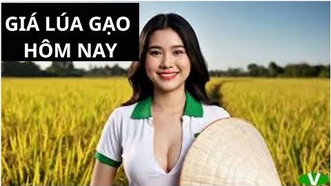 Giá LÚA, GẠO hôm nay và dự báo giá ngày mai cập nhật từ những tờ báo lớn, uy tín #V76