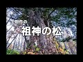 士別市の「祖神の松」の唄