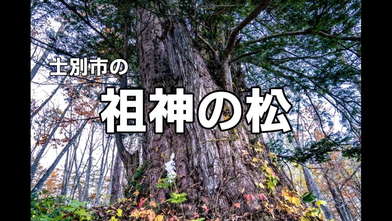 士別市の「祖神の松」の唄