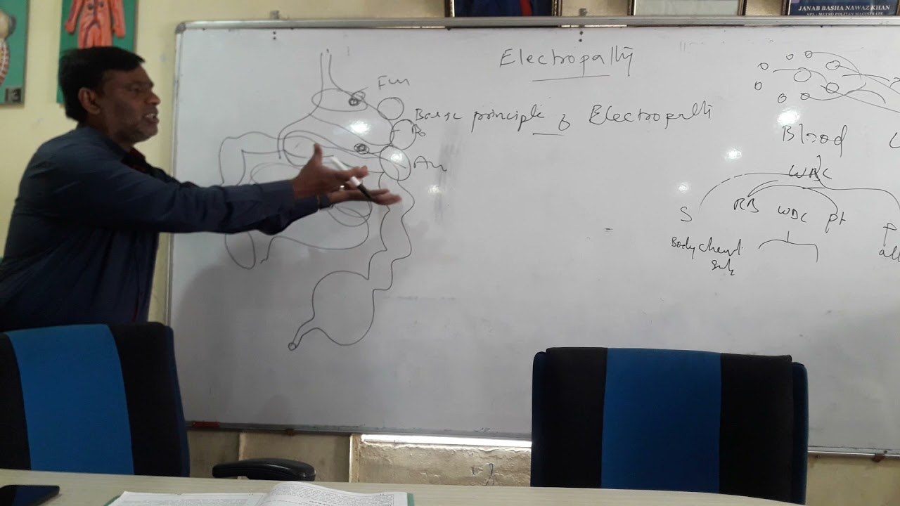 Basic Principal Of Electro Homeopathy (Part 2)23-8-21