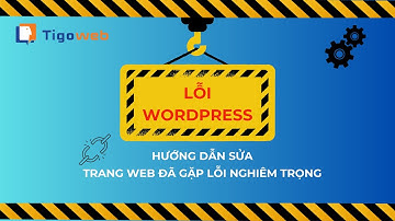 Hướng dẫn tìm và sửa lỗi "Trang web của bạn đã gặp một lỗi nghiêm trọng" - Wordpress