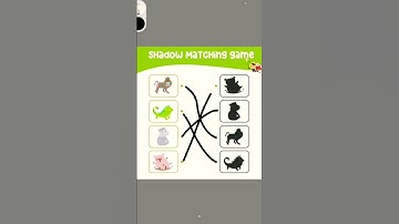 Shadow matching game 🎮