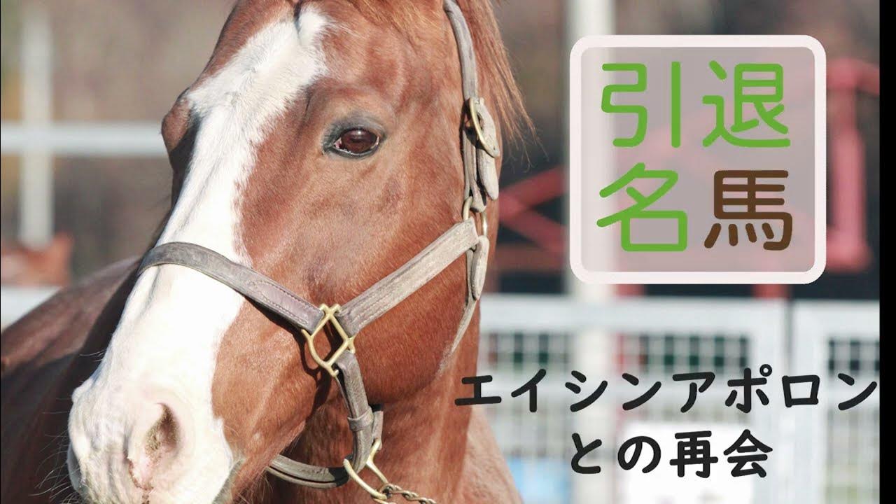 引退名馬コラム ~エイシンアポロンとの再会~(2023年11月撮影) YouTube