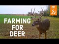 #4 - Farming for Deer