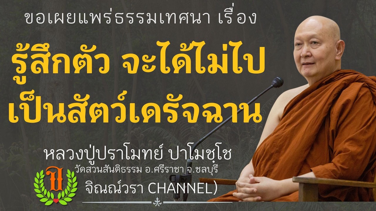 598 รวมธรรมเทศนาของหลวงปู่ปราโมทย์ปาโมชโช (รู้สึกตัว จะได้ไม่ไปเป็นสัตว์เดรัจฉาน)