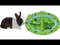 Video Creative Technique How To Make Vegetable For Rabbit Eat At Home