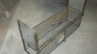 : fabrication d'un pi`ege cage